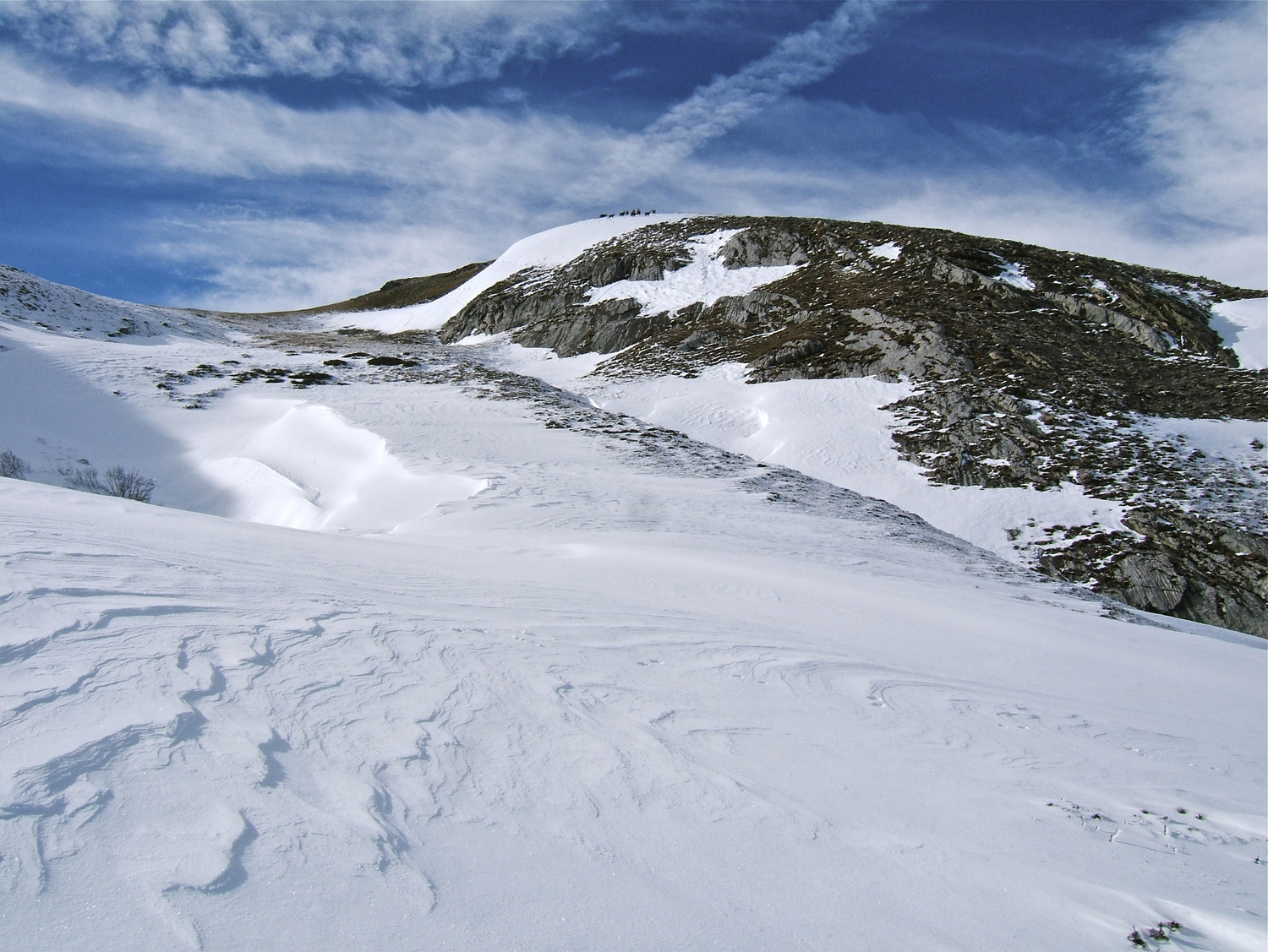 Un troupeau de chamois me guette sur la côte 2264m.