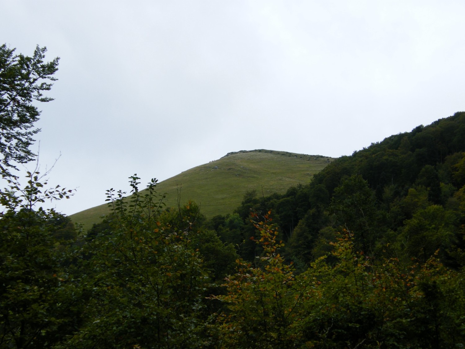 Montagne de Billexe