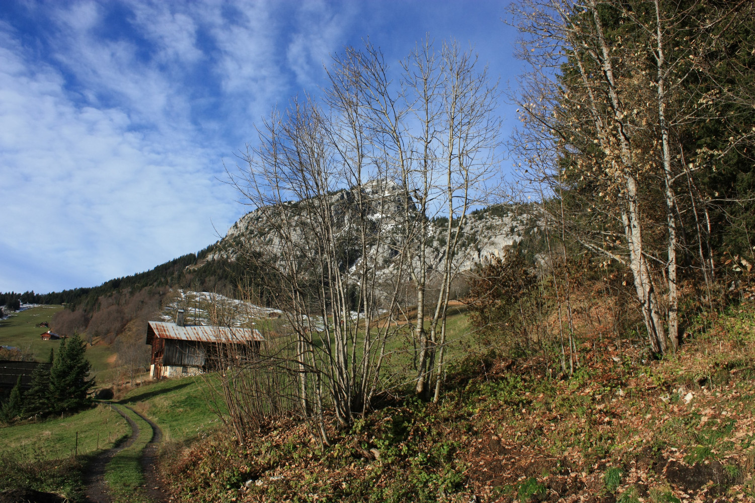 Paysage d'automne