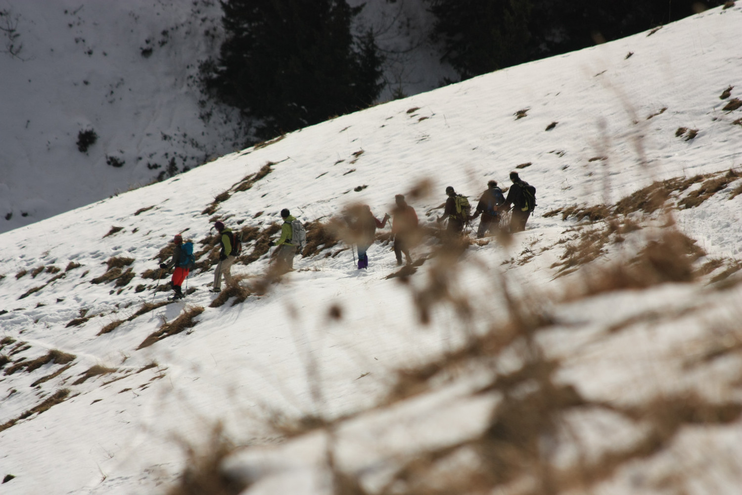 on descend de la montagne ...