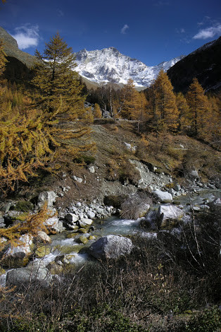 sympa les couleurs d'automne