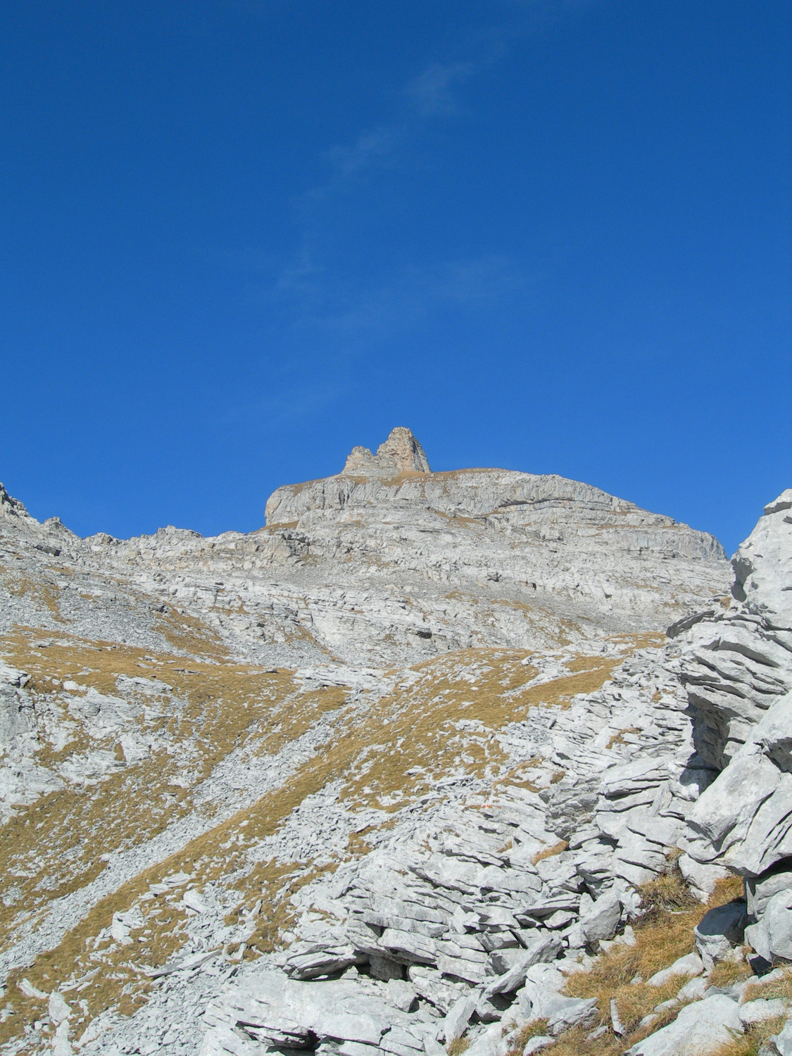 Aiguille rouge de Varan depuis le col