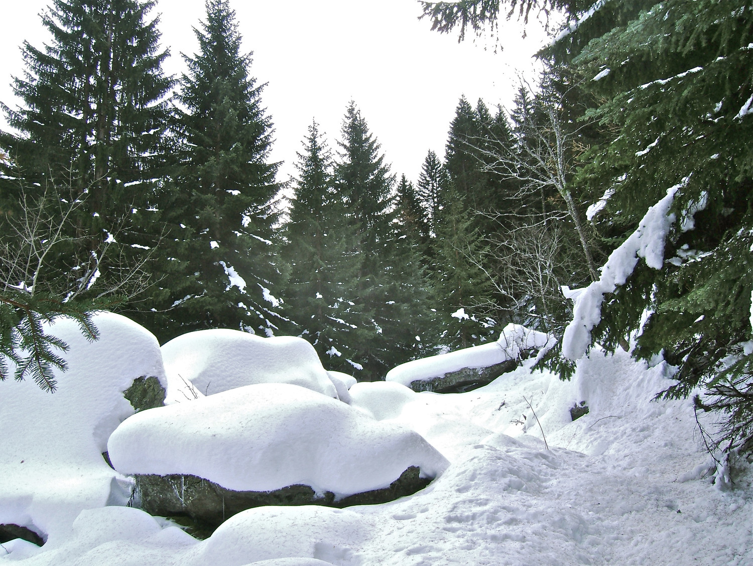 Aux environs de 1800m.