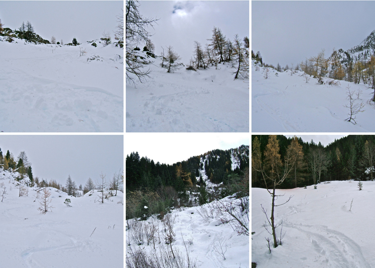 Du bon ski.
