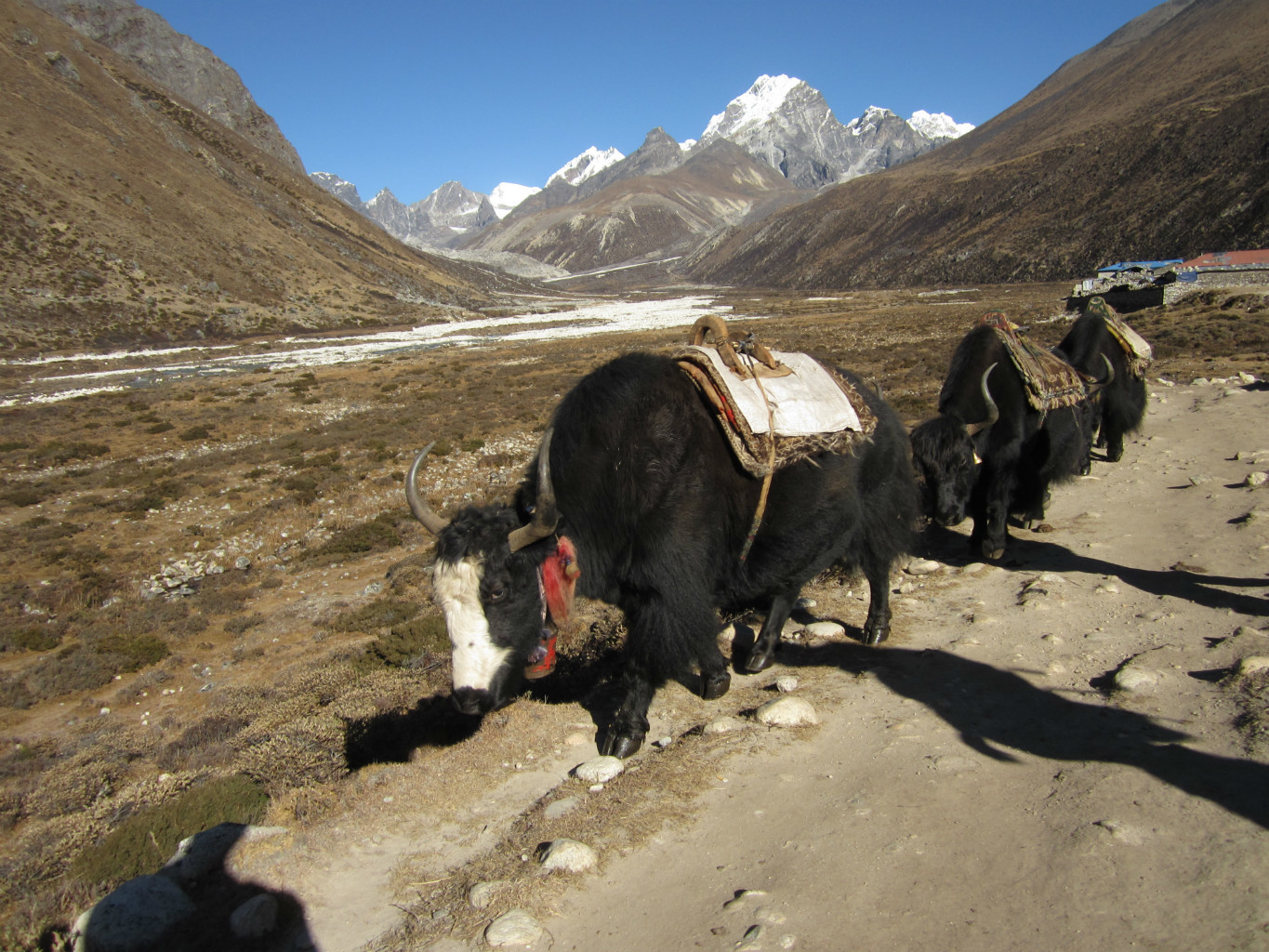 En route vers le village de Pheriche
