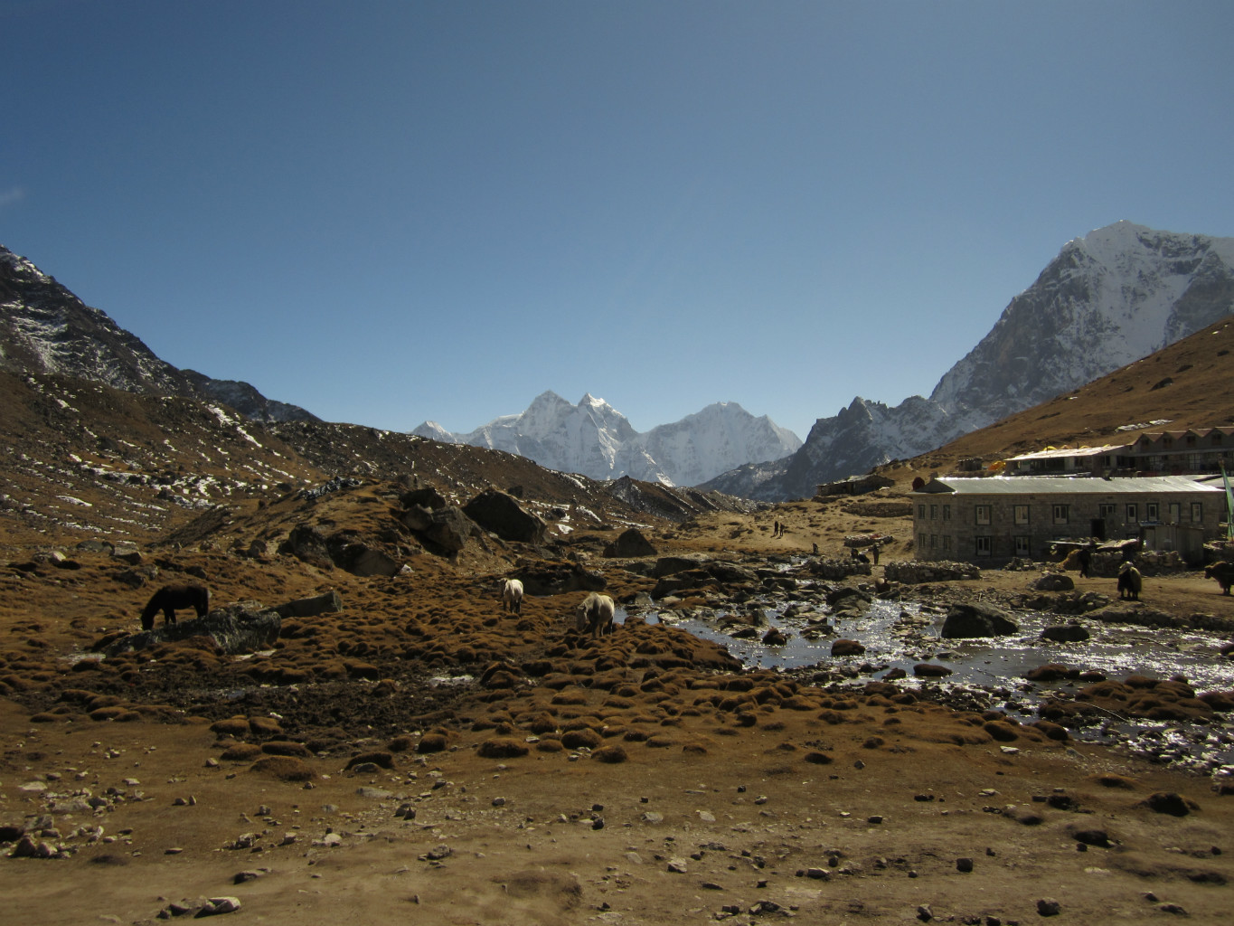 Lobuche