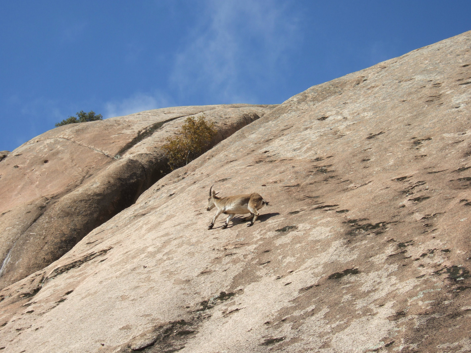 Solo 6a/b en traversée, grand silence des spectateurs