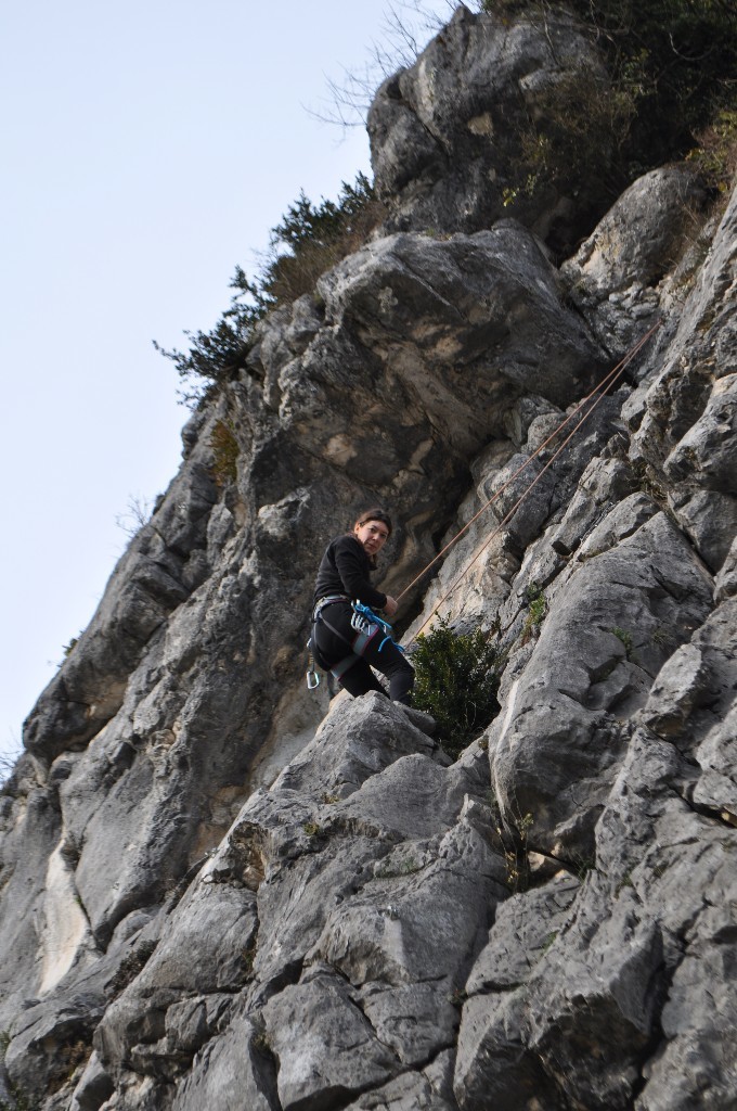 Karin sur "régulus "