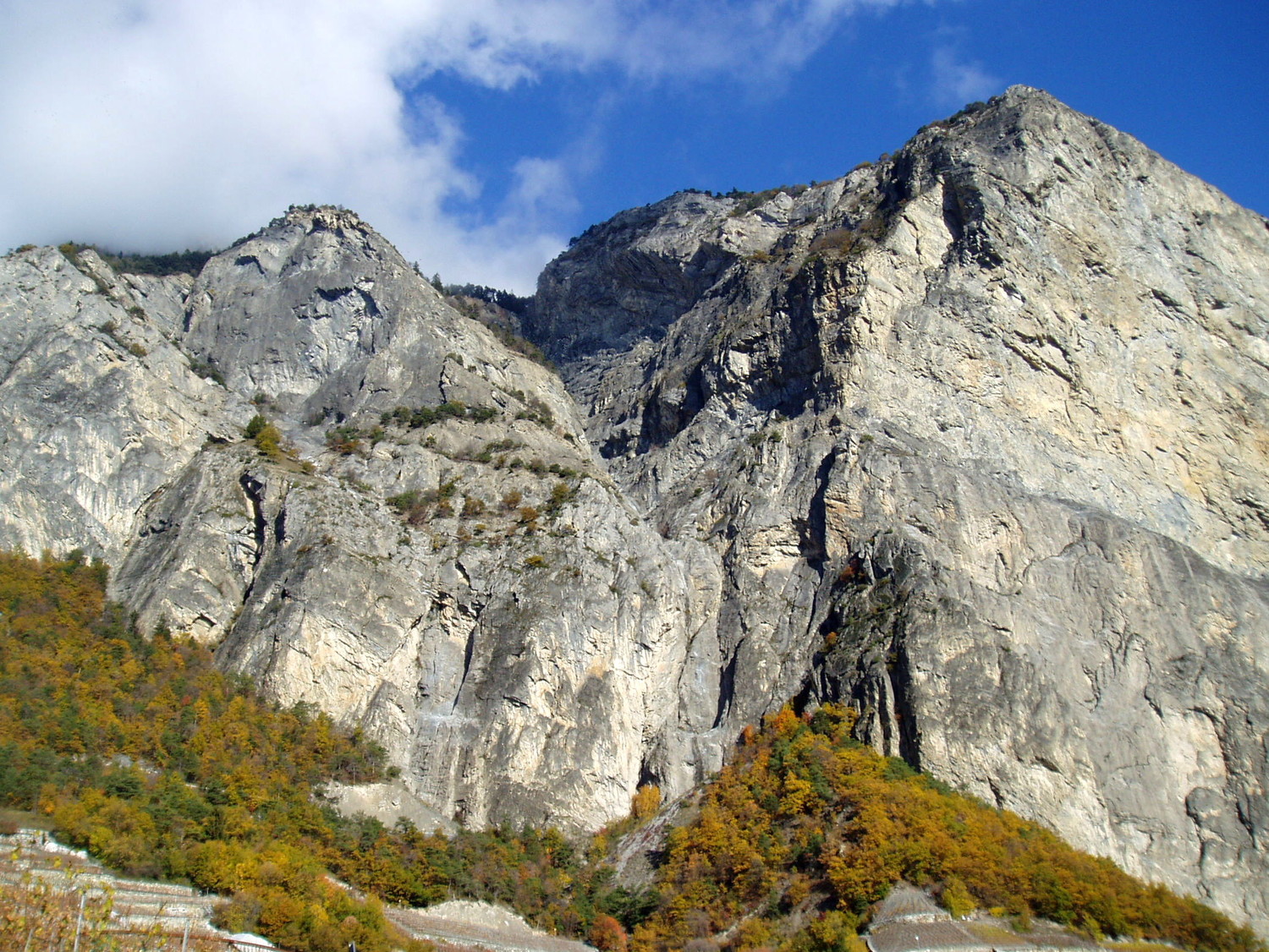 La Routia