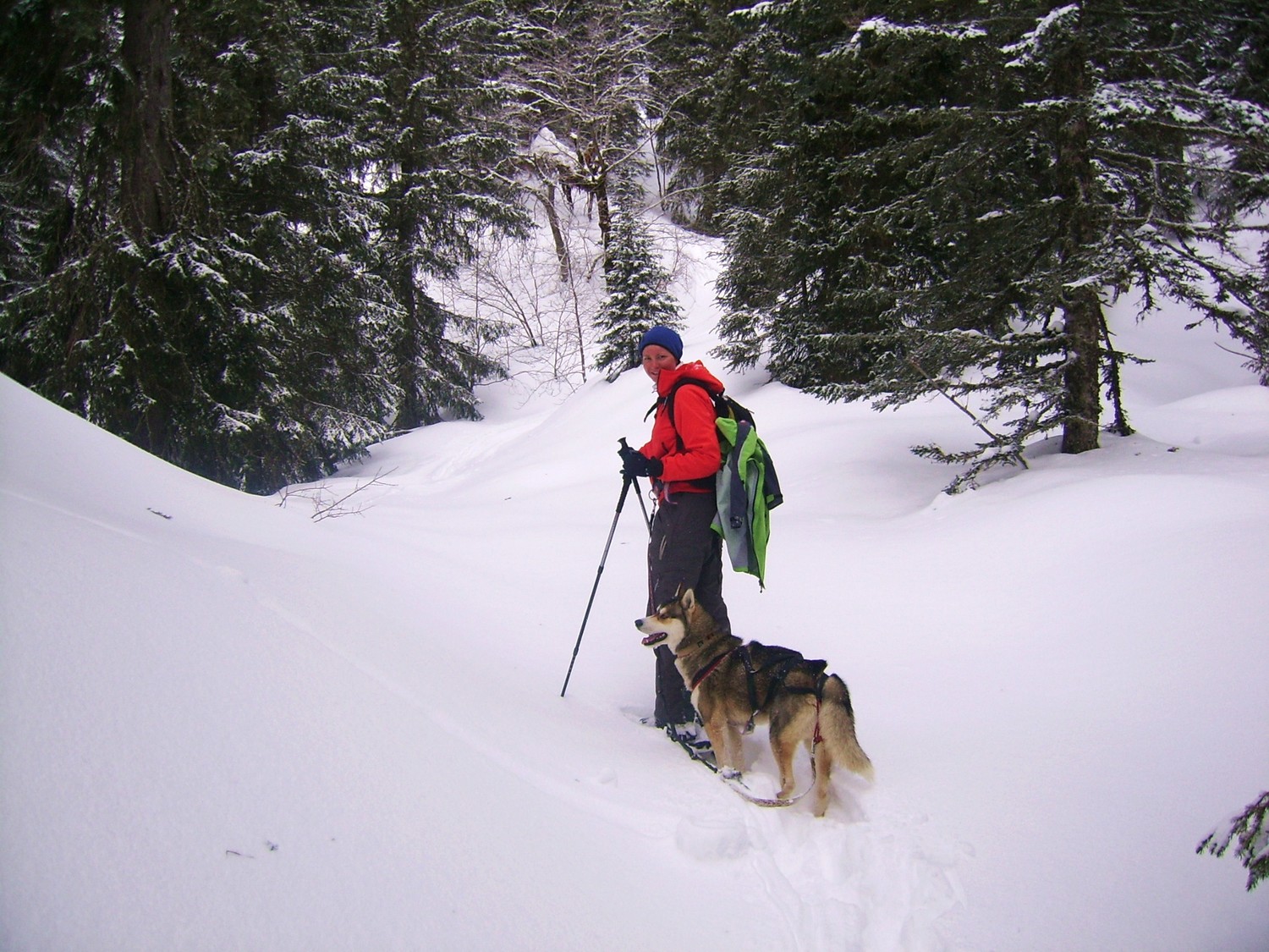 Traversée de la forêt de Génieux