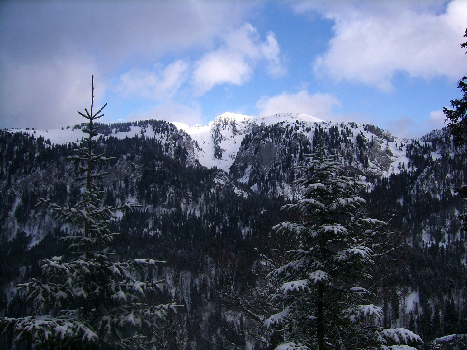 Le versant ouest du Charmant Som