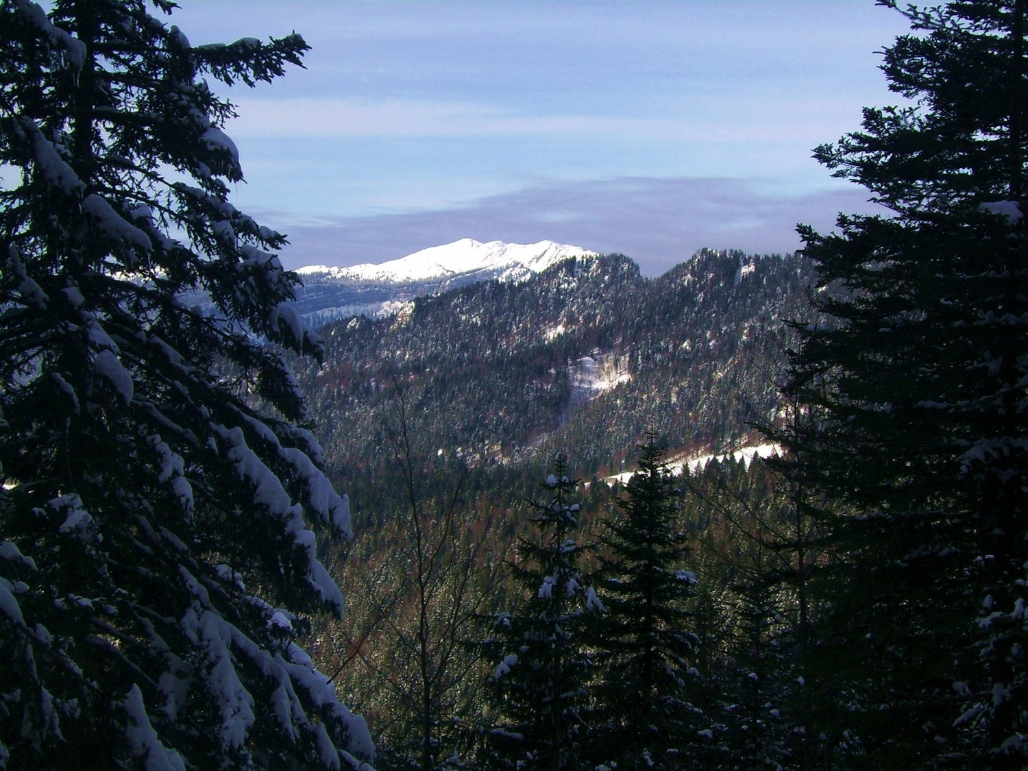Au loin la Grande Sure