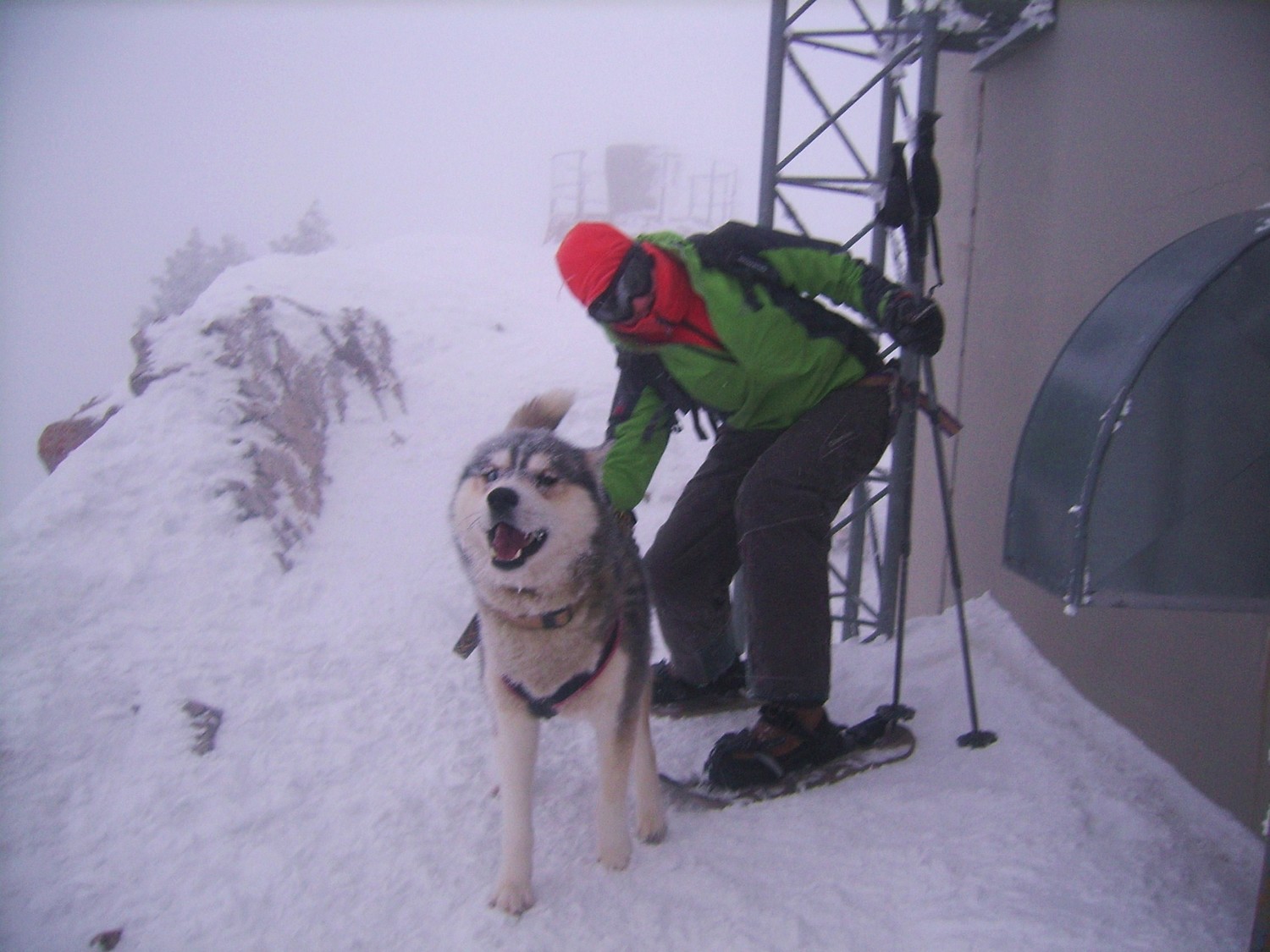 Au sommet, seul le husky est content !