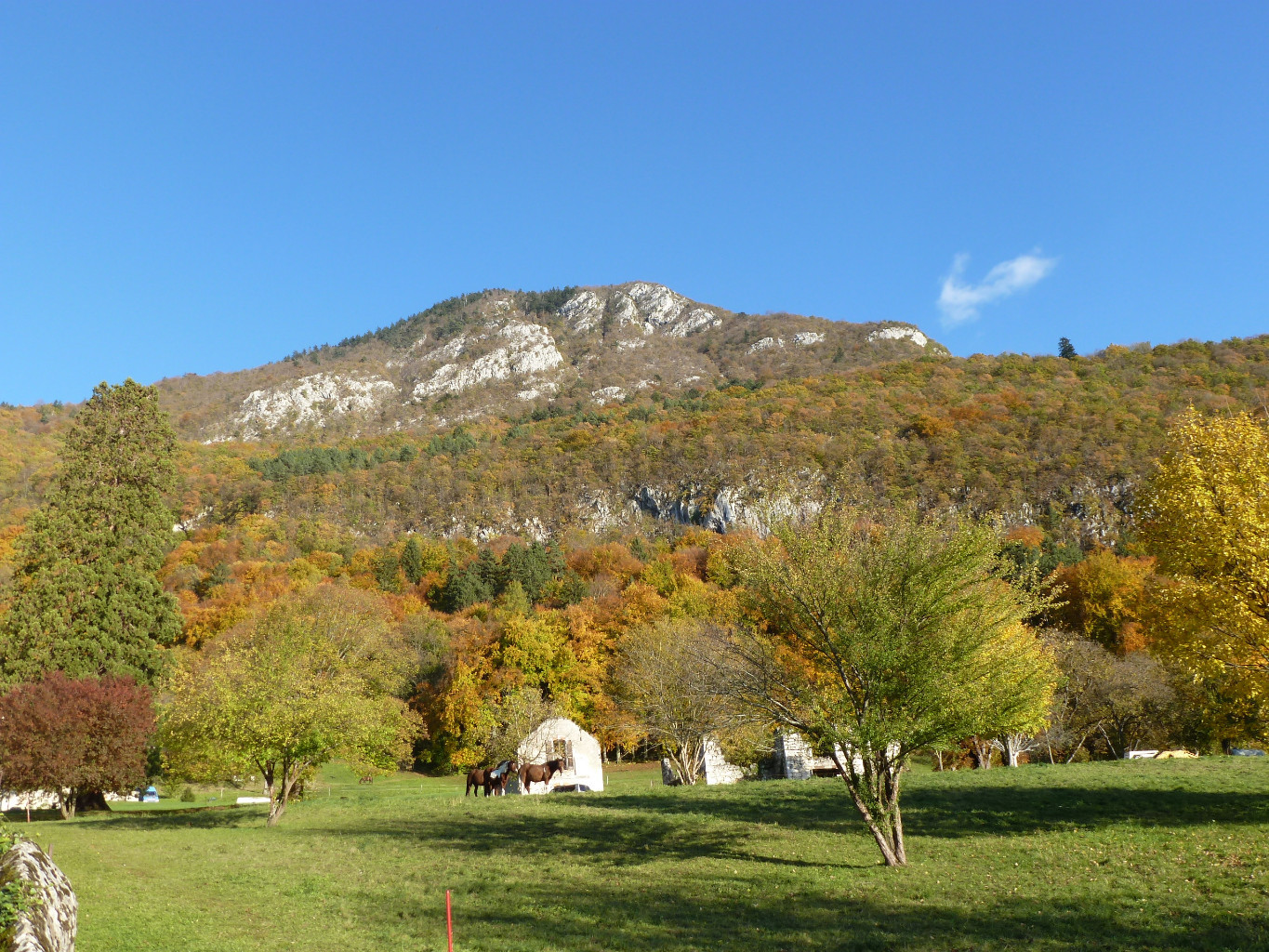 Mt Veyrier couleurs d'automne
