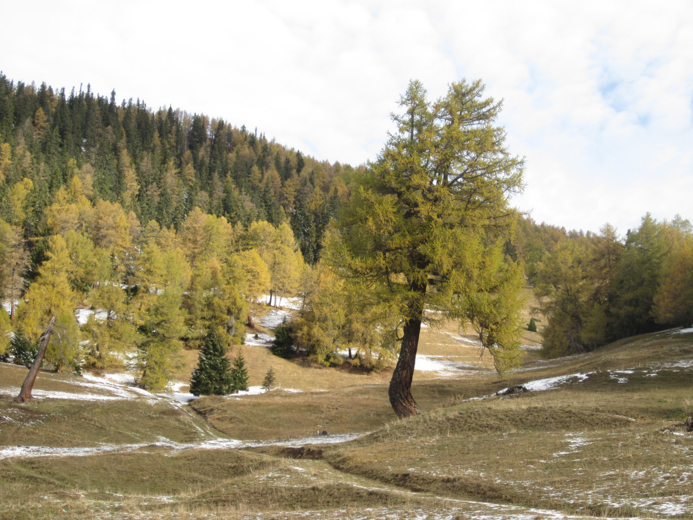 Oberwald ( sous Oberu)