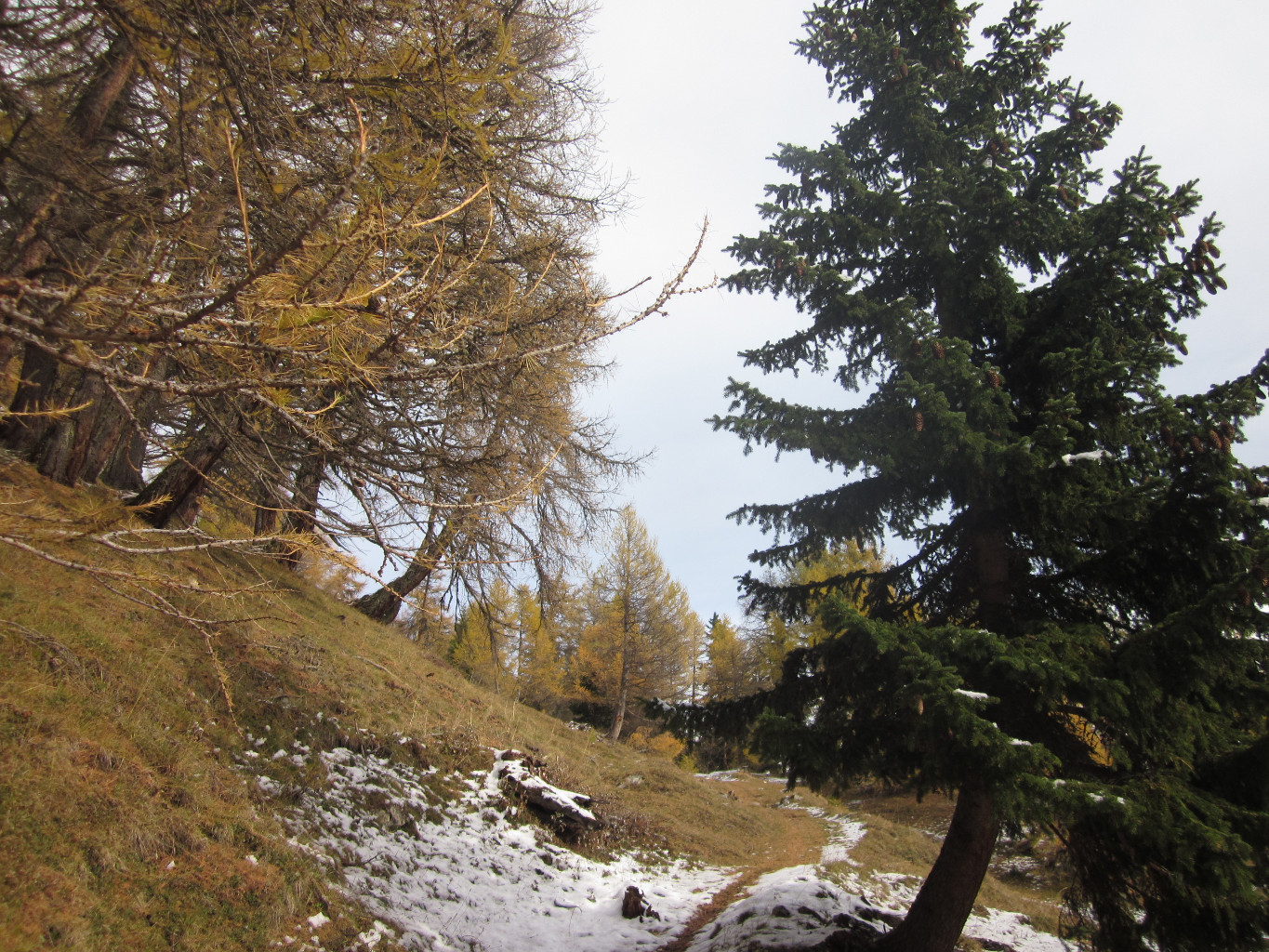 Oberwald ( sous Oberu)