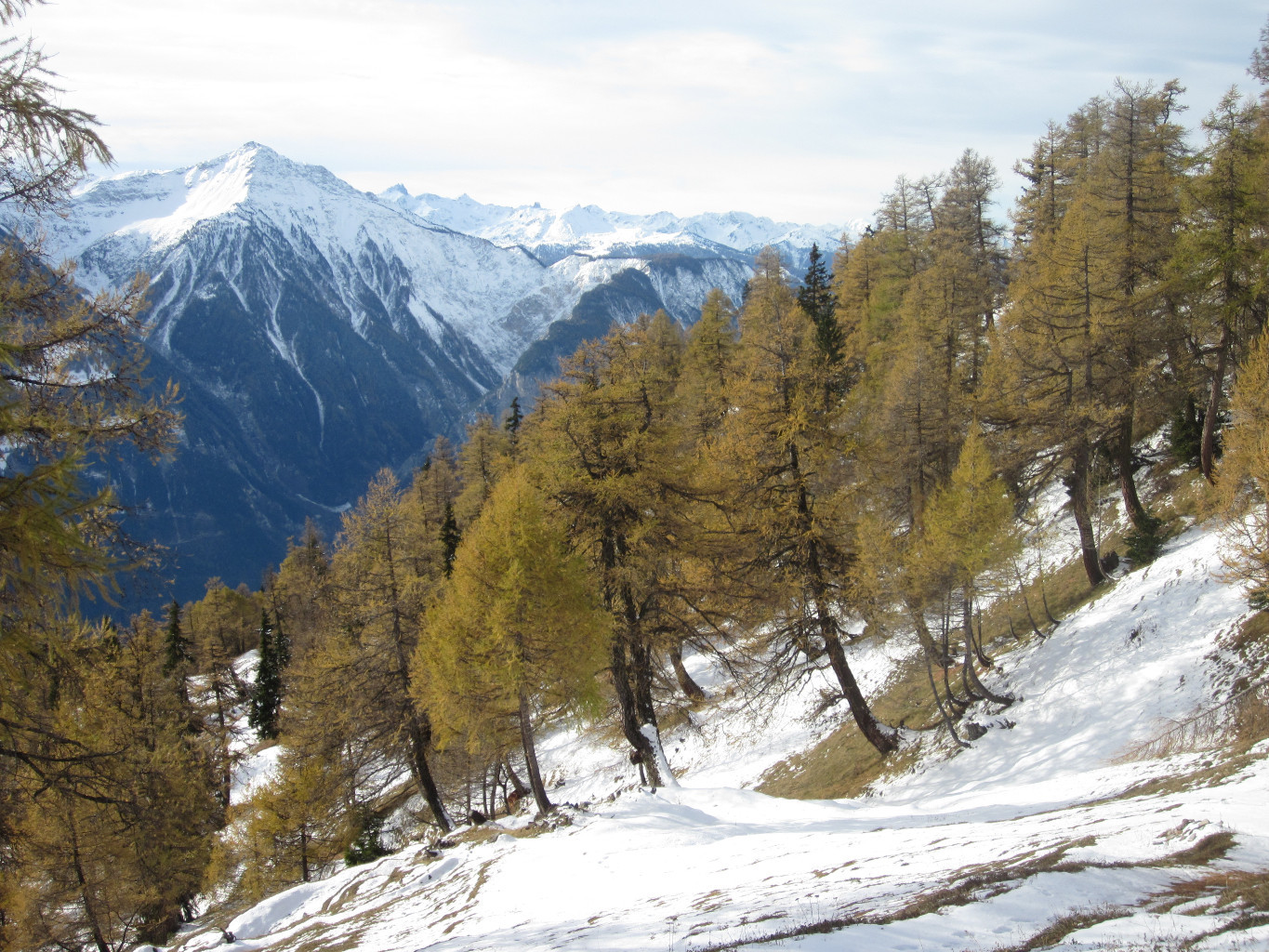 Oberwald ( sous Oberu)