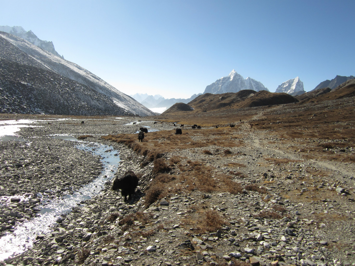 Imja Khola sur le retour vers Chhukung