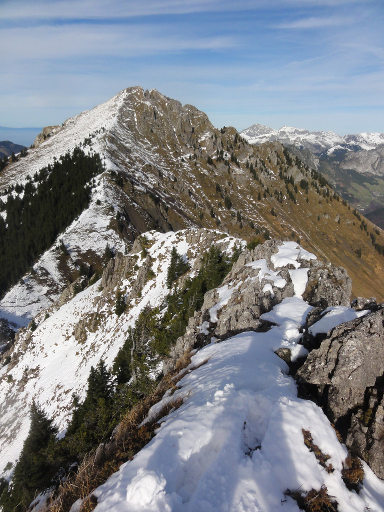 Arête N