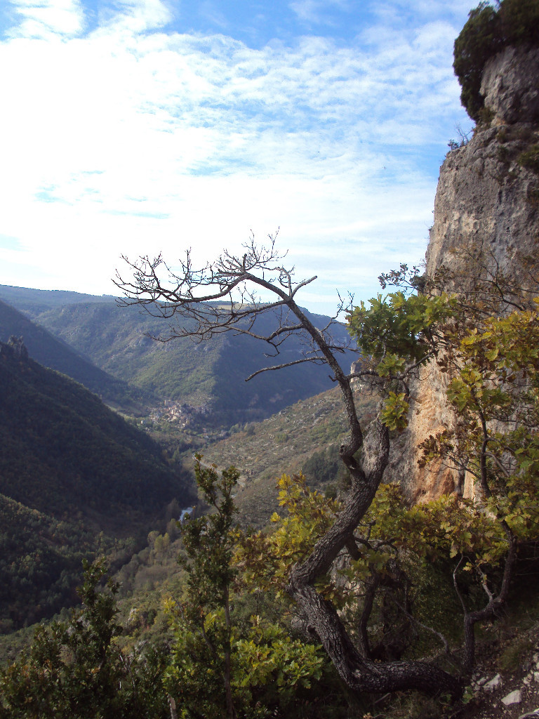 Le rozier de puis lebitard