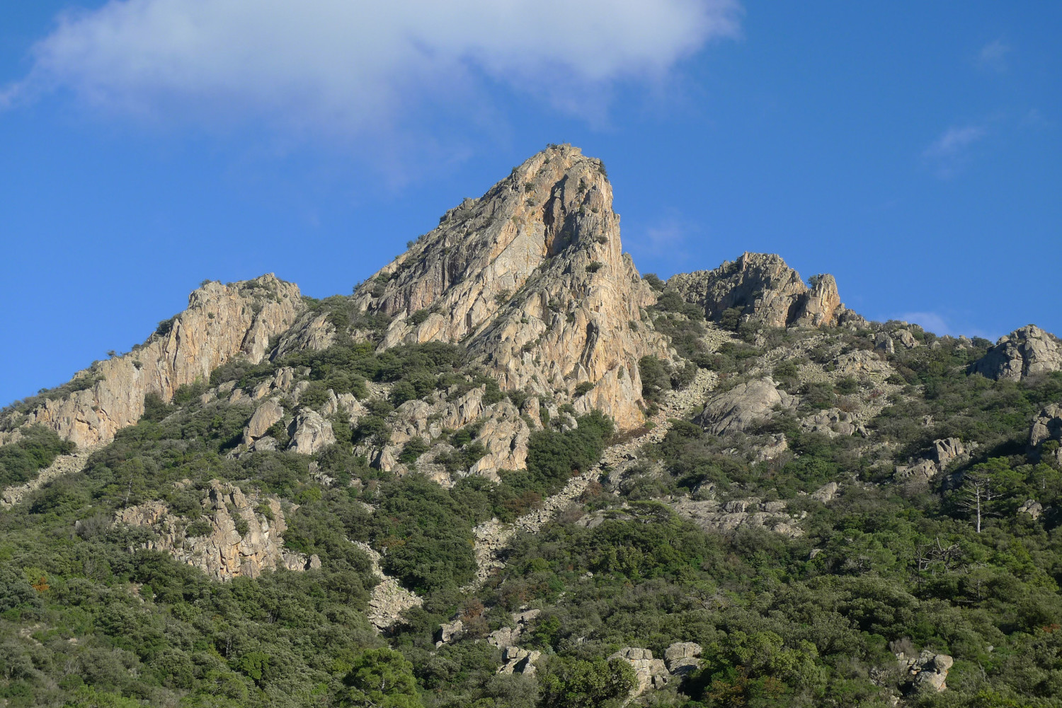 El roc Ponent des del fons de la vall de Castellfollit