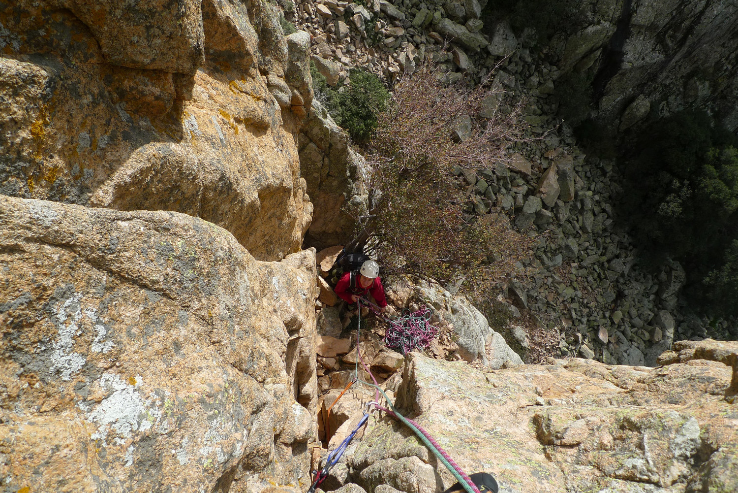 Diedre del segon llarg