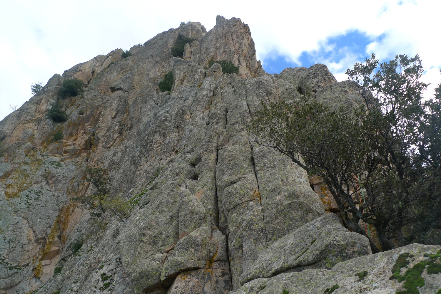 Fissures arreu al quart llarg