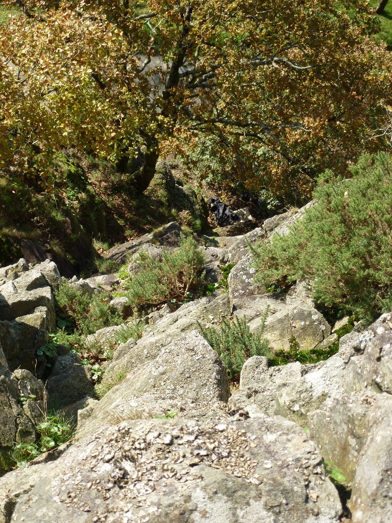 Secteur Lorelei
