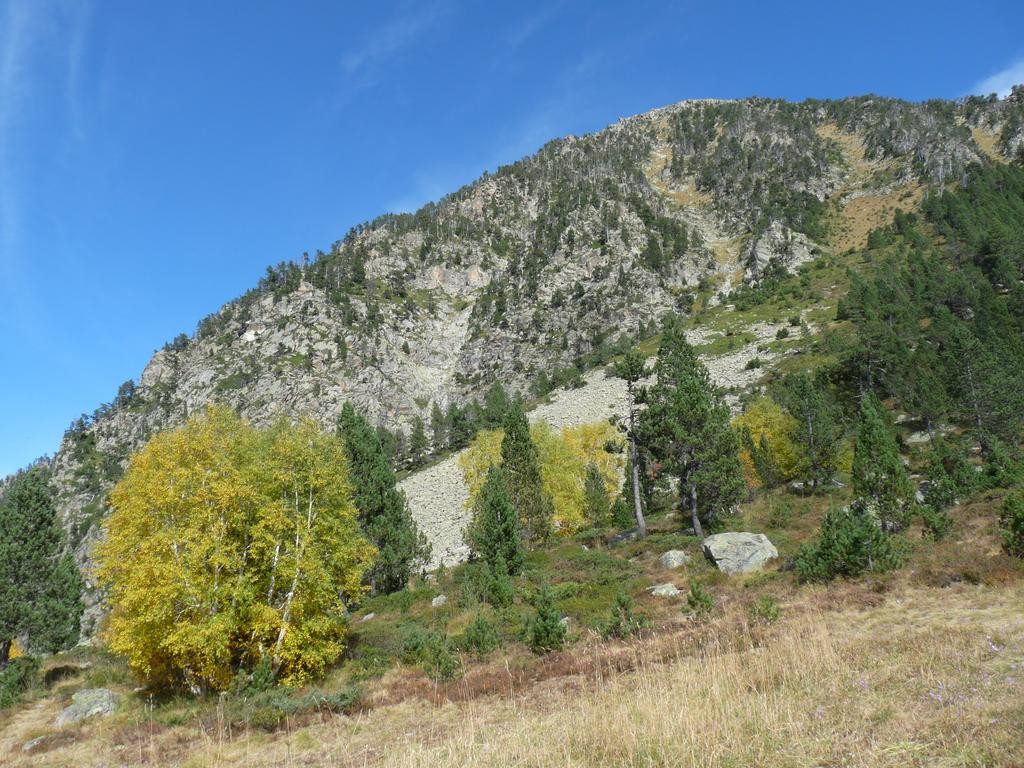 Paysage près du refuge Russell