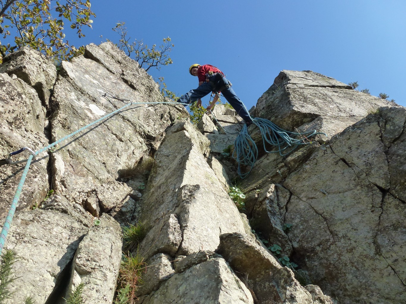 En haut de Polycéphale