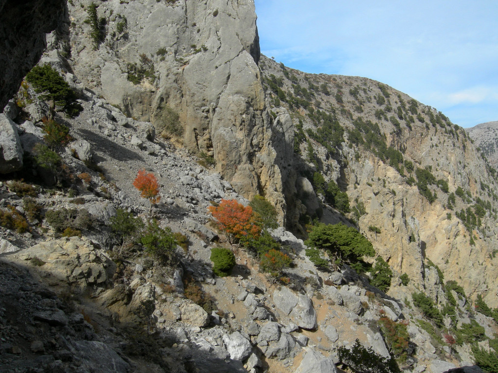 l'automne existe meme en Crete