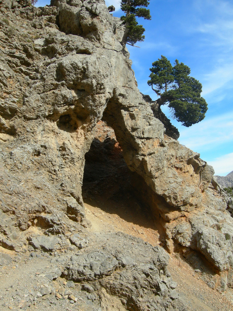 arche naturelle