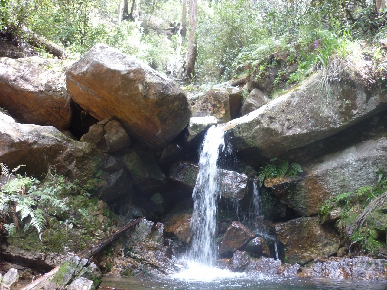 Cascade las delicias