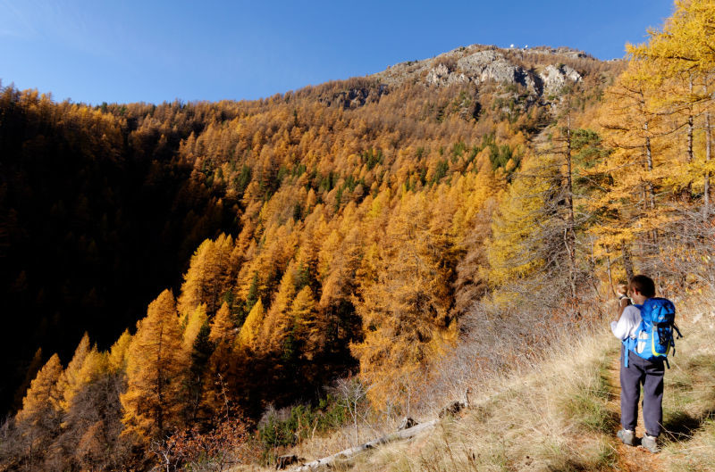 Sous les rochers de Roure