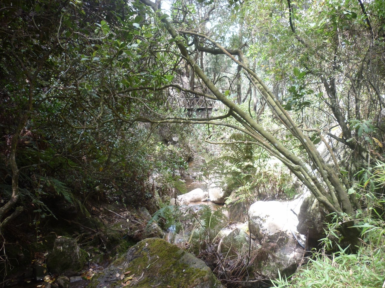 Cascade las delicias 3
