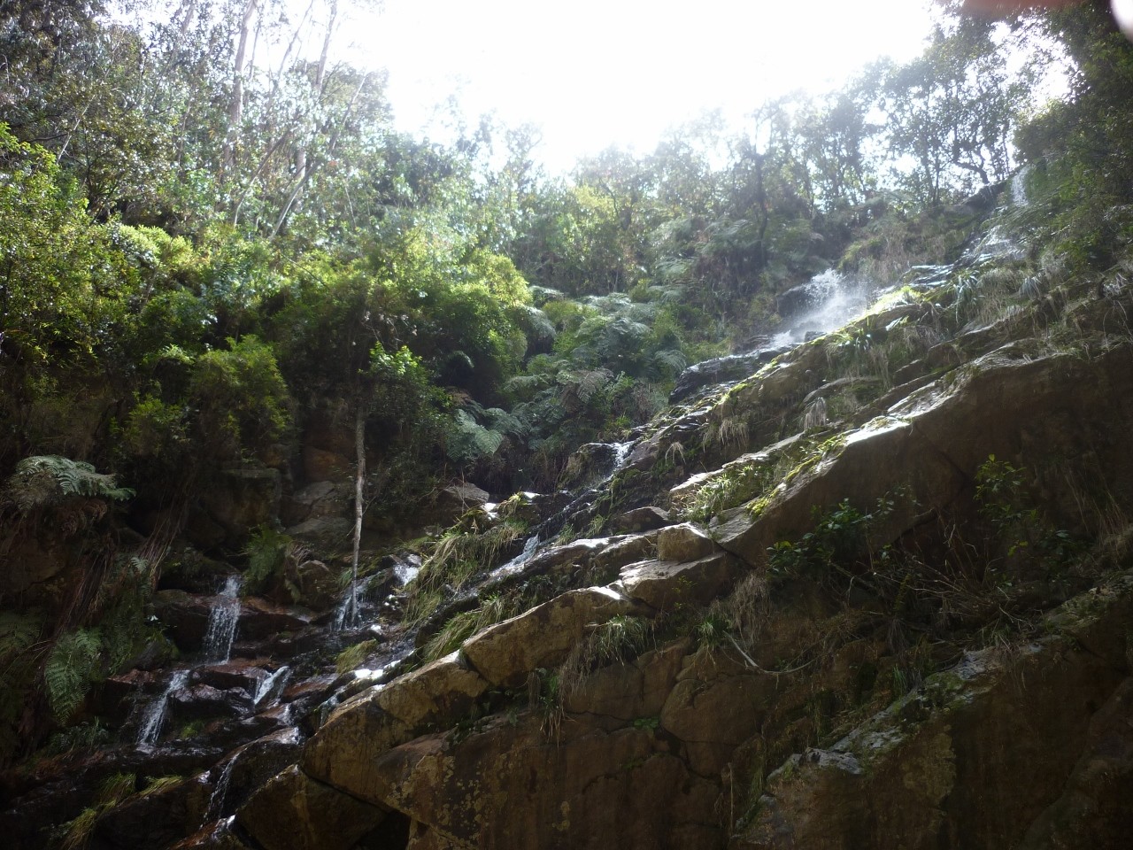 Cascade las delicias 4