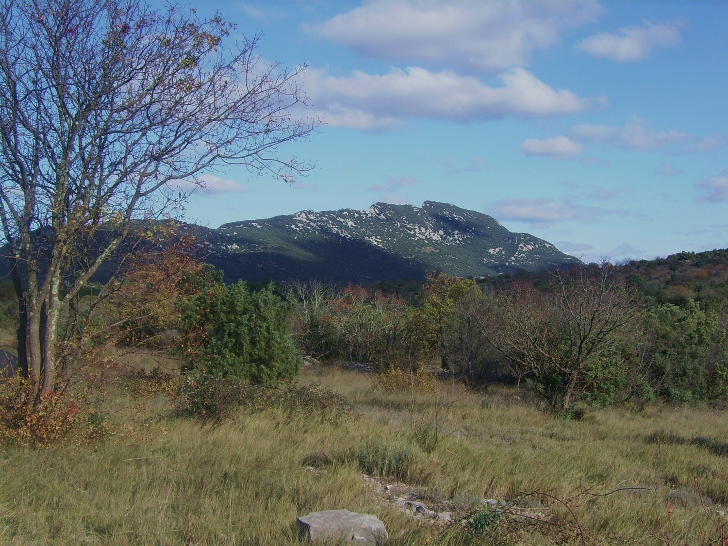 Le Pic Saint-Loup, vu depuis Cazevieille