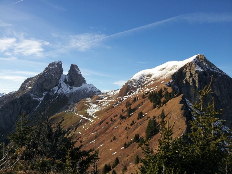 Jumelles et Grammont