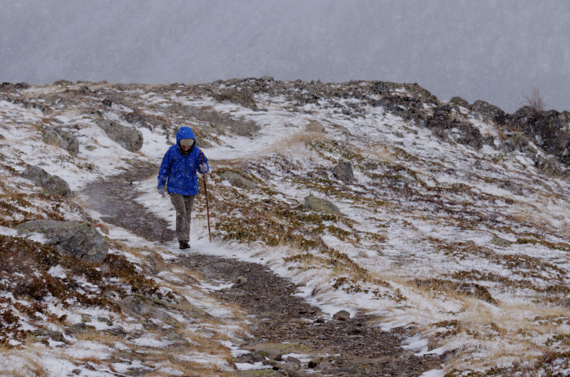 La "tempête de neige"