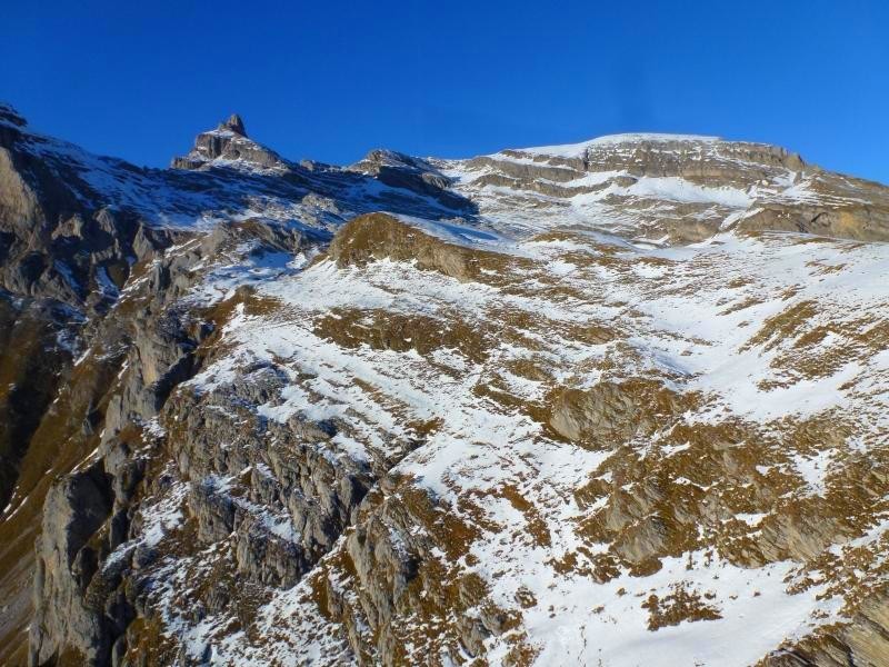Aiguille grise de Varan, et le déco en premier plan