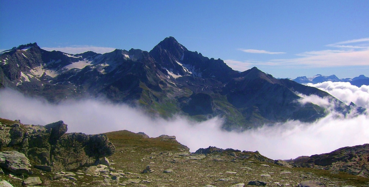 Magnifique Dent Parrachée