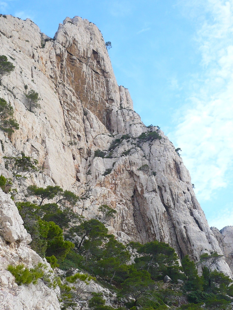 vue d'ensemble