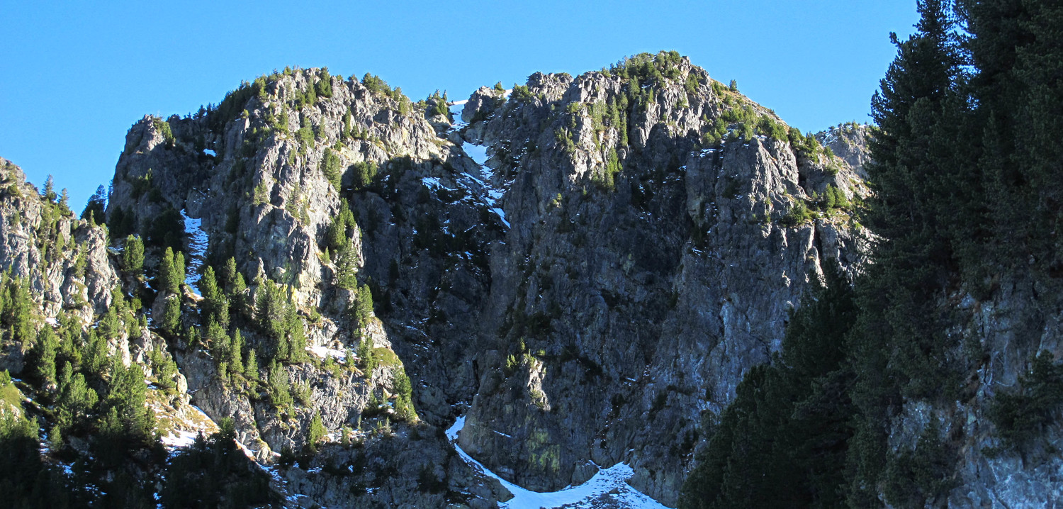 goulotte du chien