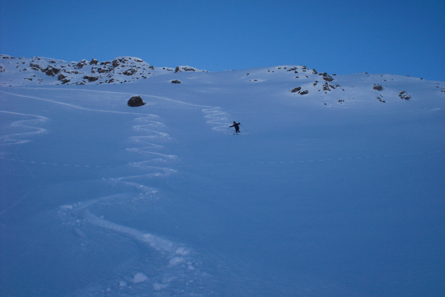 dans le haut de la face