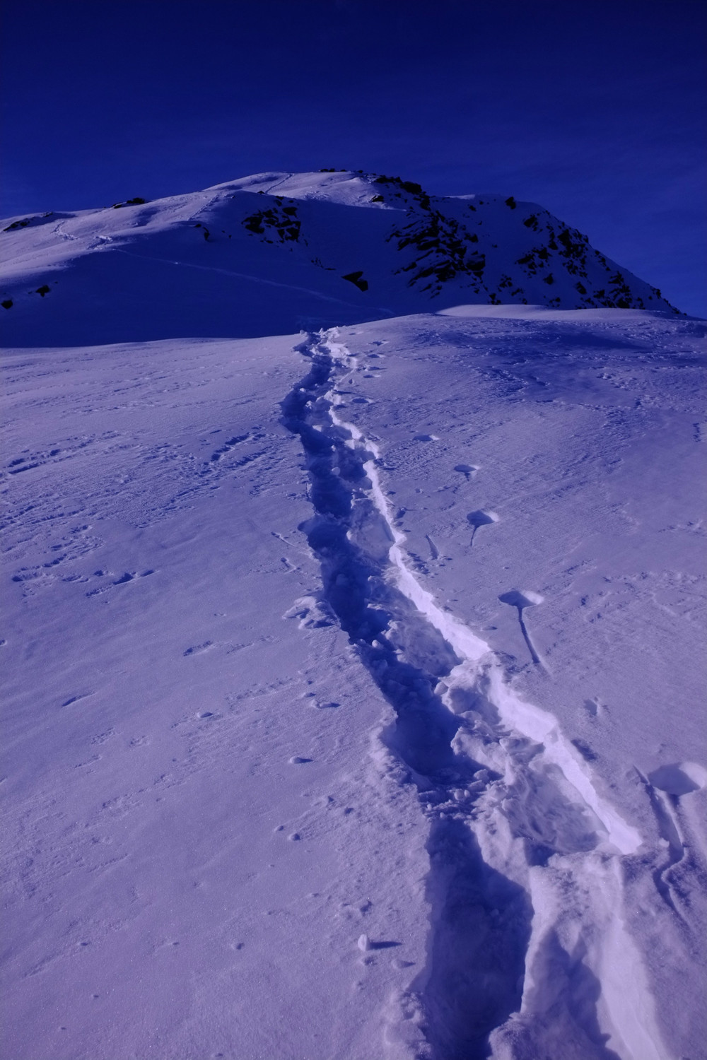 traces descendantes