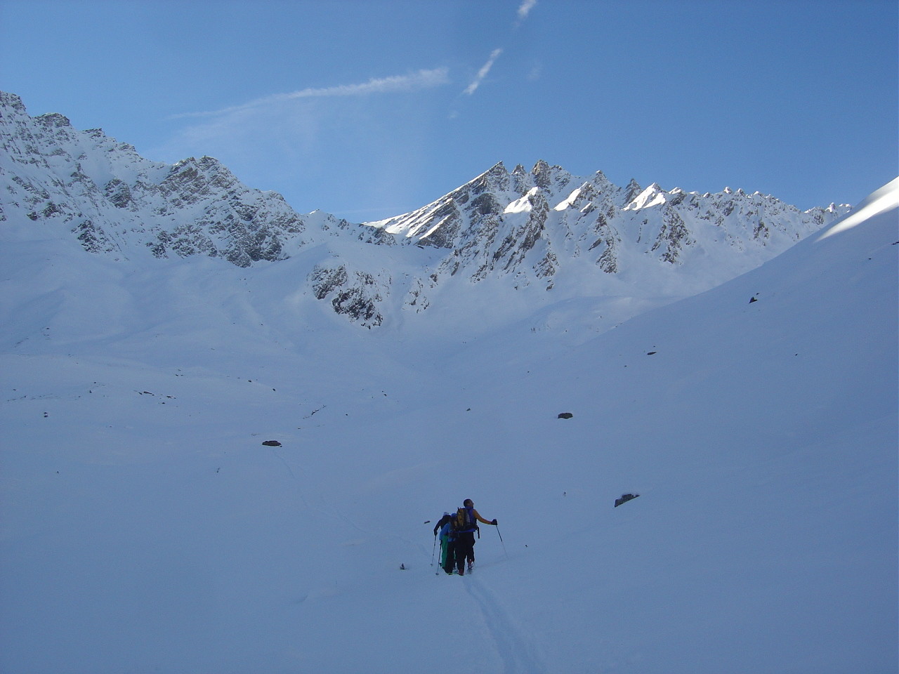 Le Grand Golliat apparaît bien blanc