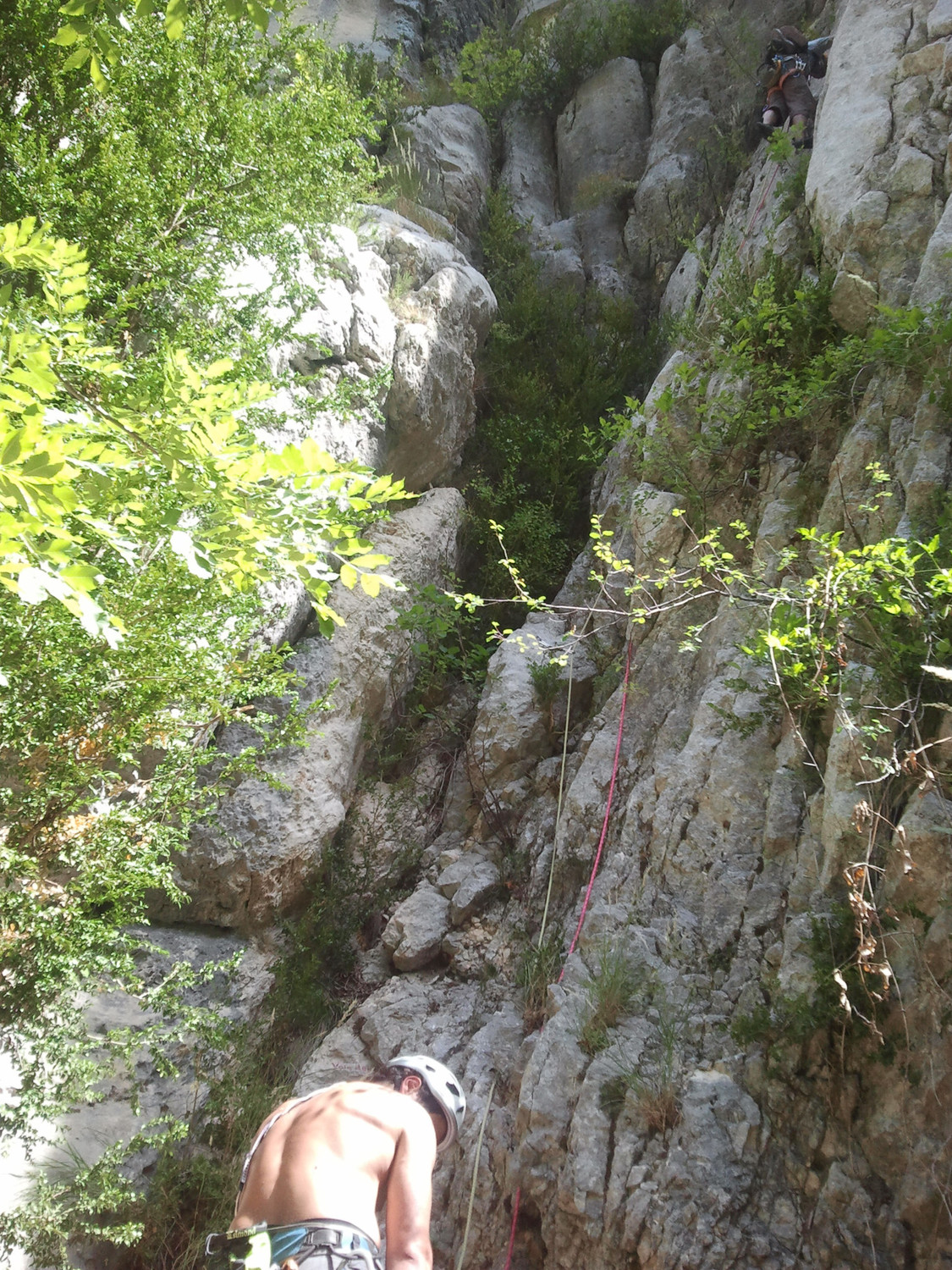 dans le 5b de L1