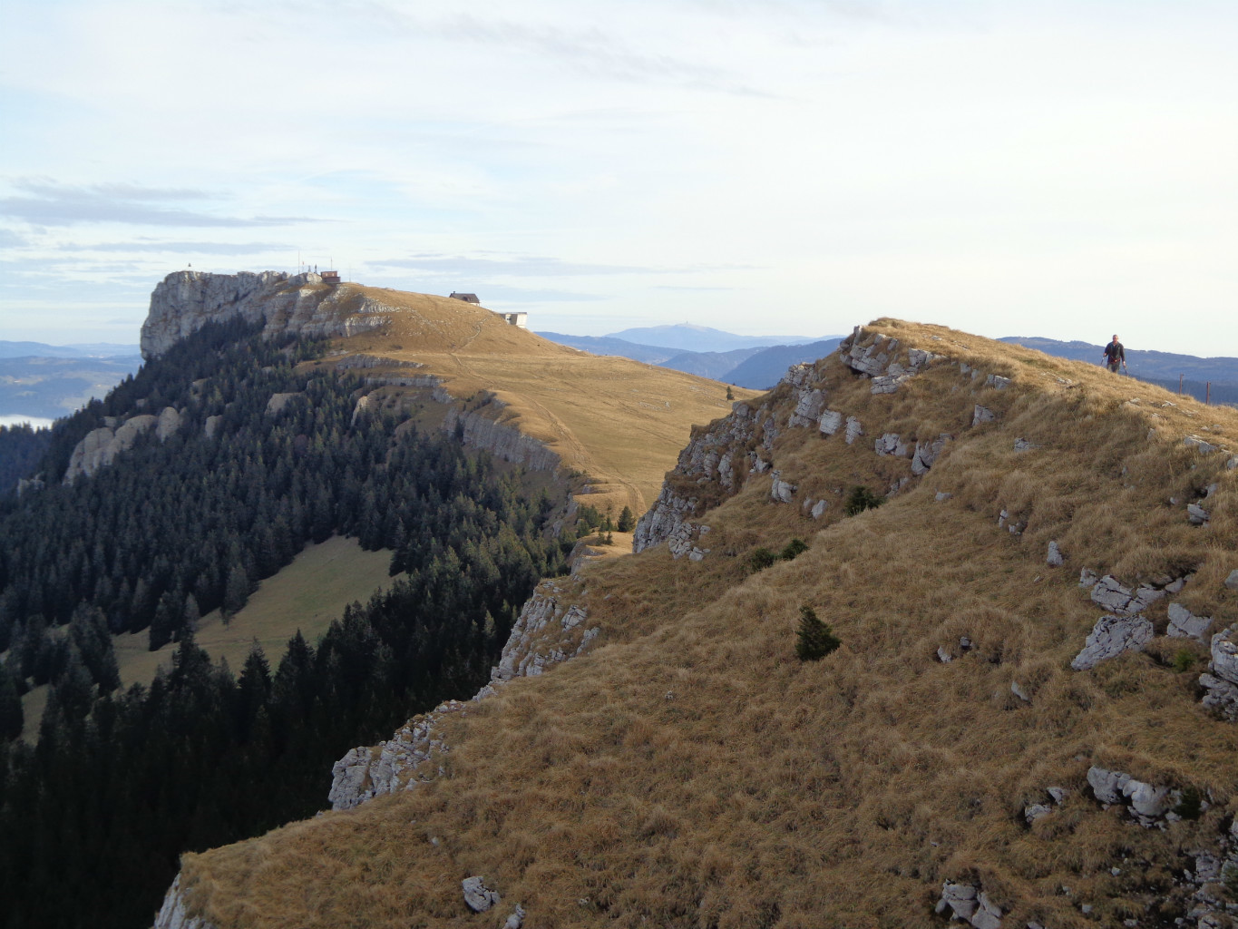Paysage