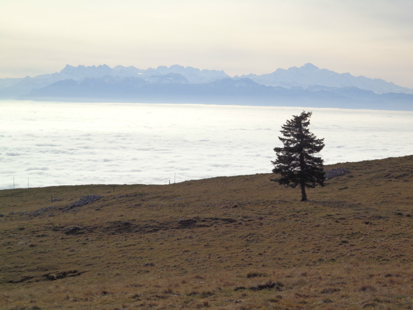 Mer de brouillard