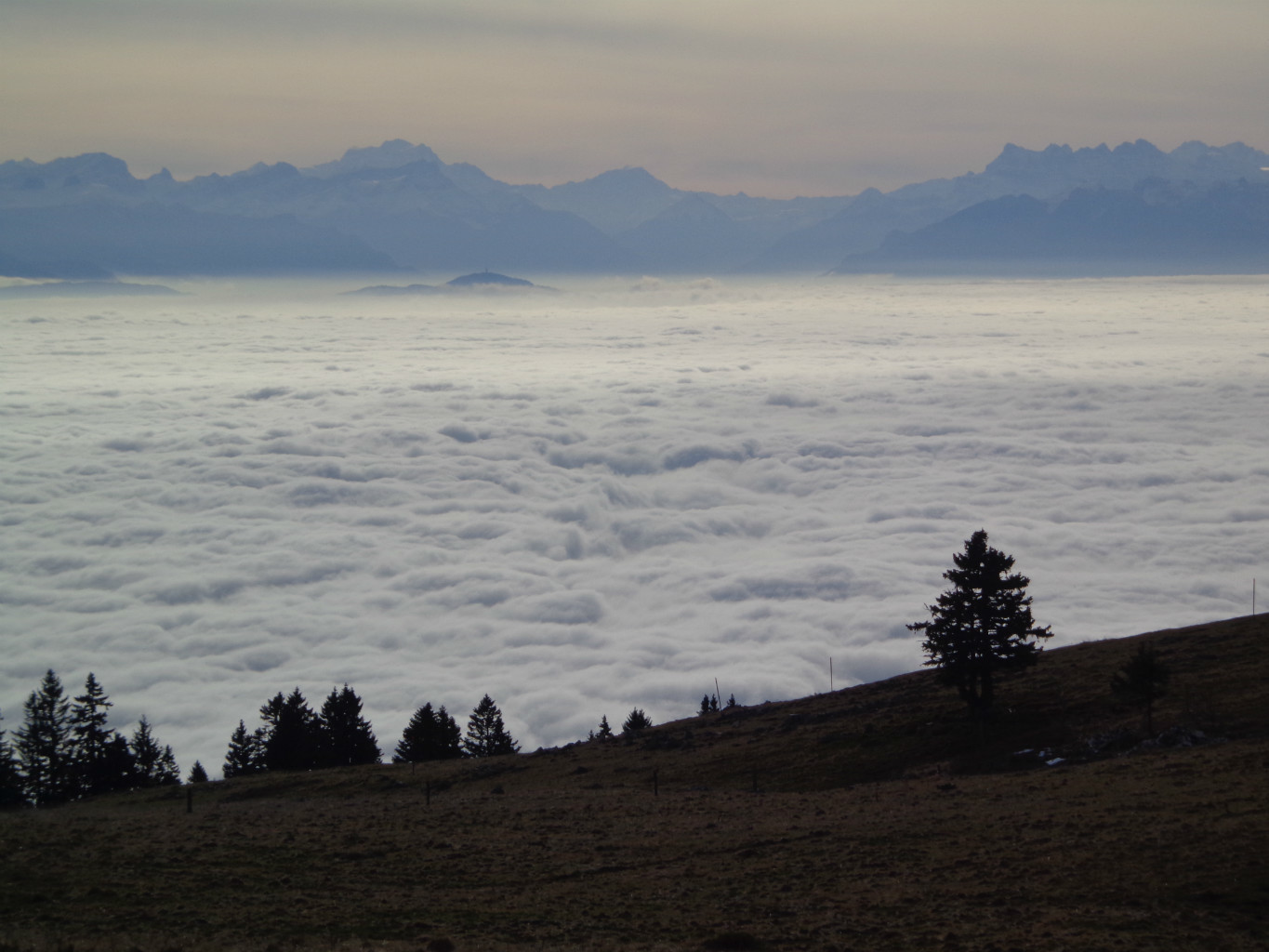 Mer de brouillard